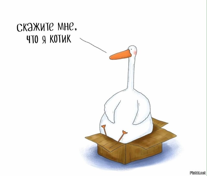 Солянка от 12.12.2025