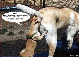 Необычный лабораторный эксперимент 