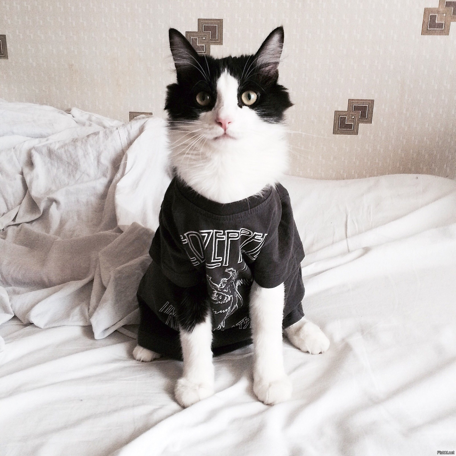 \m/
Хороших выходных )
