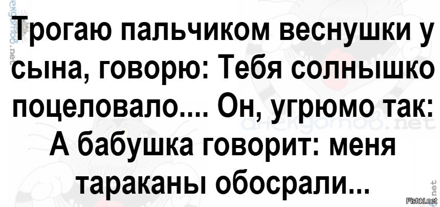 Солянка от 12.12.2025