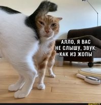 Необычный лабораторный эксперимент 