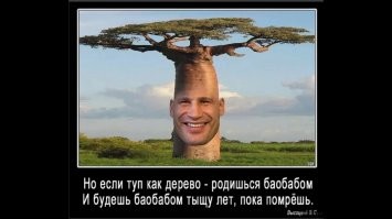 Смешные картинки