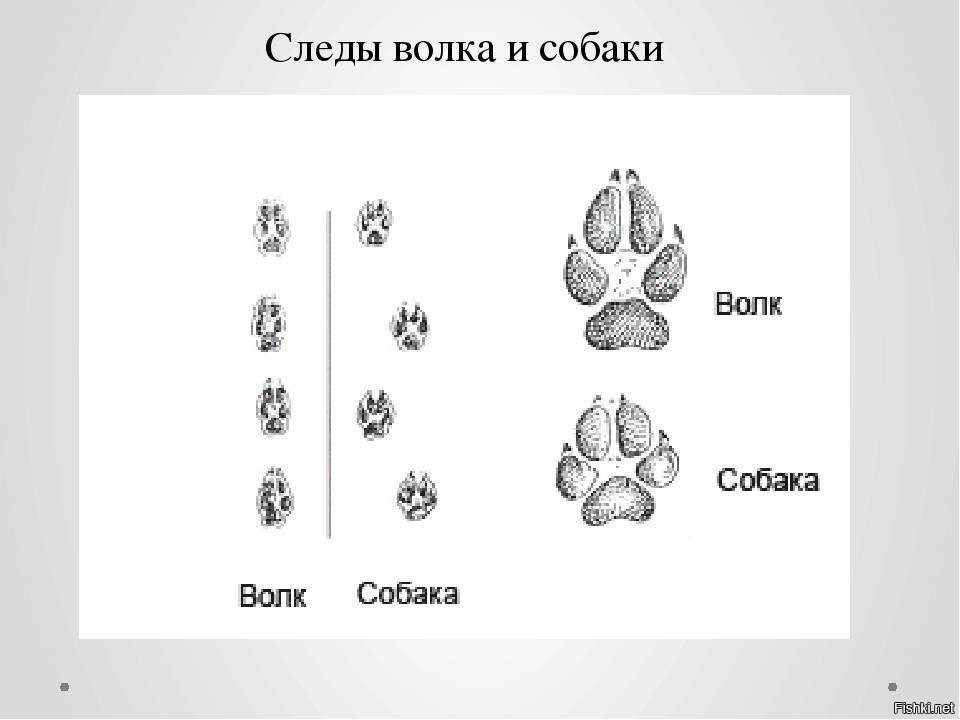 ага, кривенькая строчка должна получаться.
 а здесь две параллельные