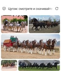 Девять велосипедистов подняли планер в воздух, используя только силу ног