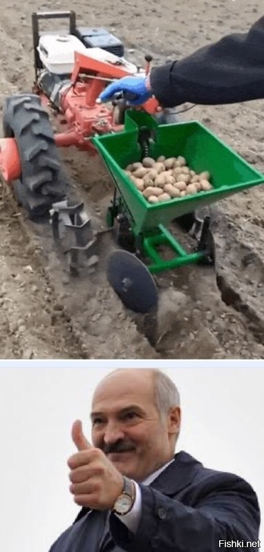 Просто гифки, всякие и&nbsp;разные