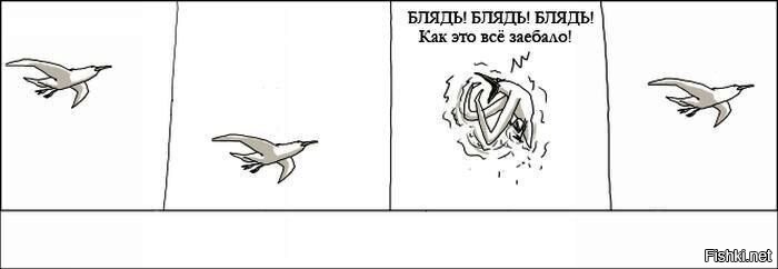 Сохраняй спокойствие в любой ситуации…