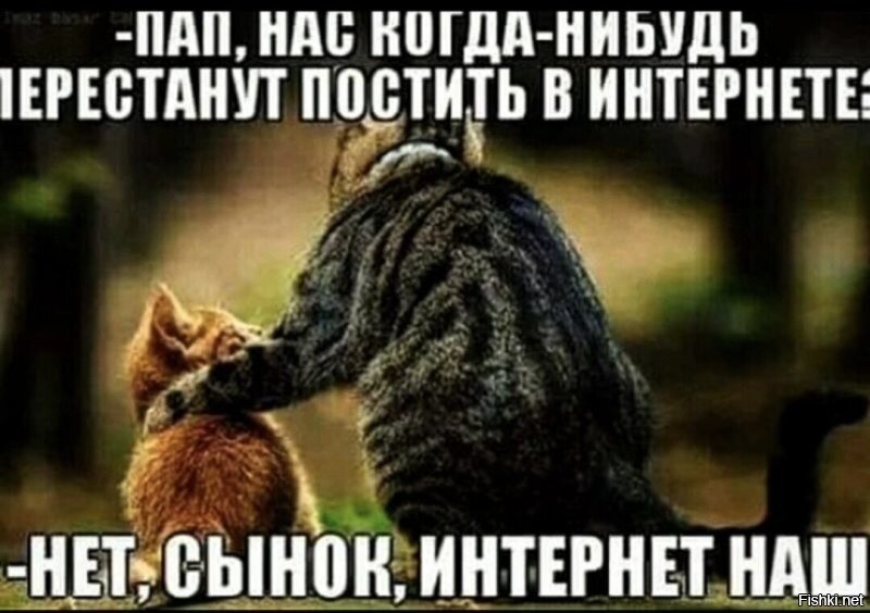 Солянка от 12.12.2025