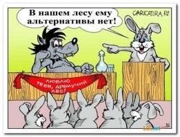 О политике и не только