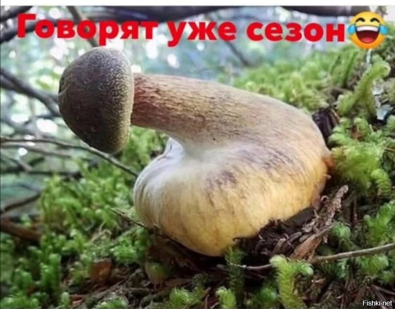 Солянка от 13.12.2025