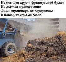 Коровы под нож, фермеры на баррикады: во Франции опять навозные войны