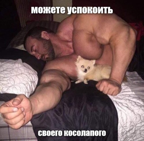 Солянка от 13.12.2025