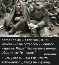 О политике и не только