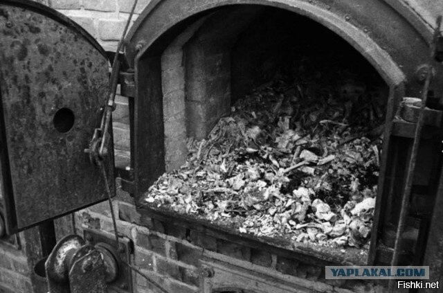 Алоизович знал как разговаривать ромалами, Это единственный язык который они понимают,