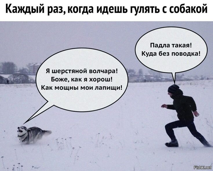 Солянка от 13.12.2025