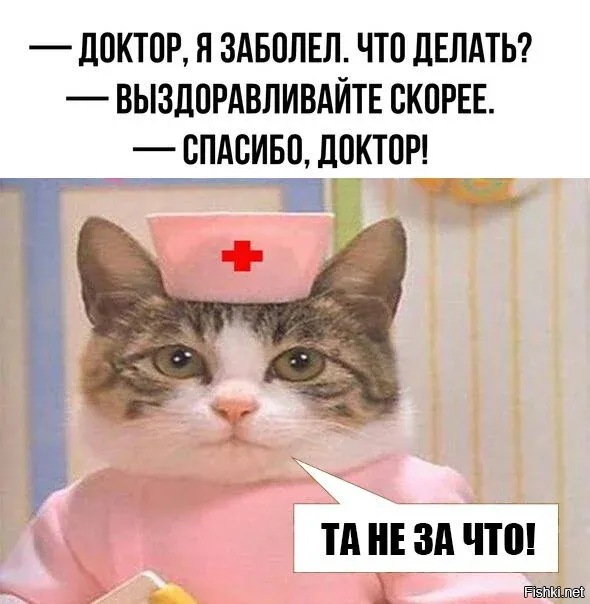 Солянка от 14.12.2025