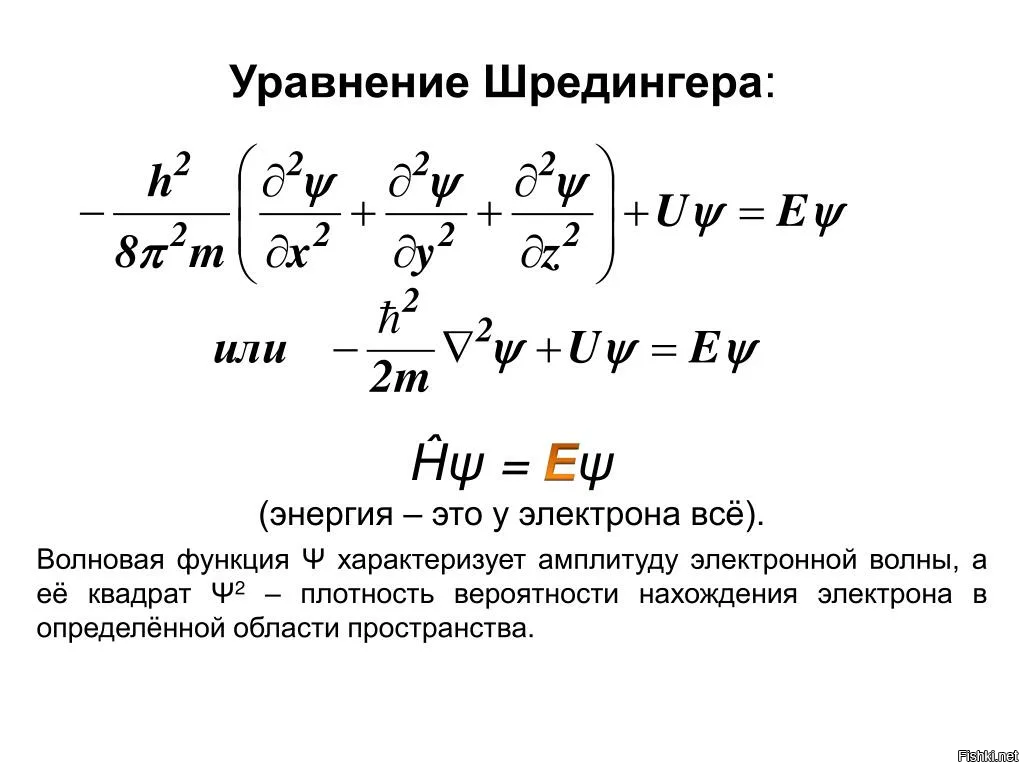 Ну, мы с ней вместе изучали уравнение Шрёдингера. Много лет назад. Но он таки умер немного раньше, чем мы с будущей женой познакомились.
