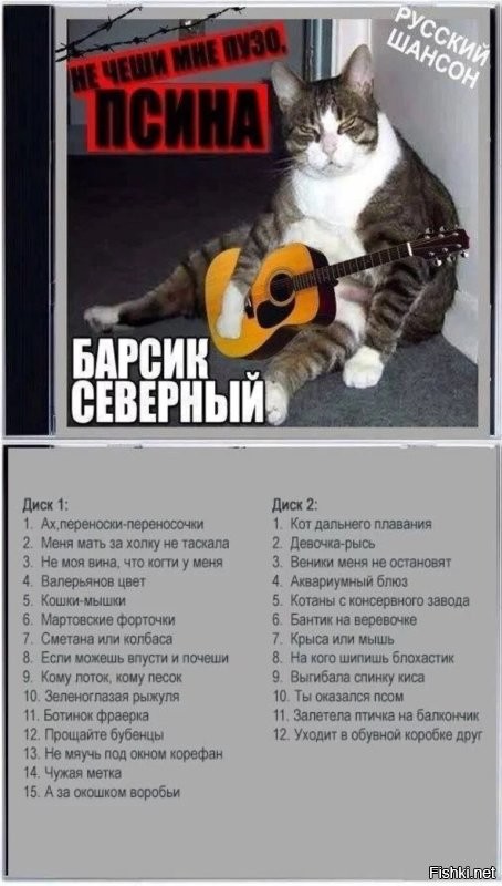 Мужчина в стиле Михаила Круга объяснил своему коту, где находится лоток