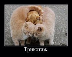 10 интересных фактов о&nbsp;трикотаже