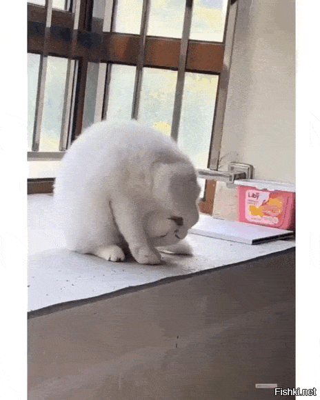 Я один с этого прих.. не понял, а потом как понял?