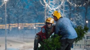 Жители Барнаула пытались украсть дворовую елку