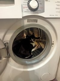 Постоянно проверять приходиться...