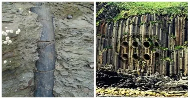 Левое фото, да, похоже на органику (ствол дерева, скорее всего вроде бамбука, обнажился в рыхлых четвертичных отложениях).
Правое фото, звиздежь и провокация - сфотошопили цилиндрические объекты в массив базальта
