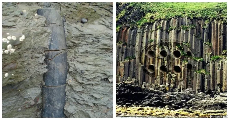 Левое фото, да, похоже на органику (ствол дерева, скорее всего вроде бамбука, обнажился в рыхлых четвертичных отложениях).
Правое фото, звиздежь и провокация - сфотошопили цилиндрические объекты в массив базальта