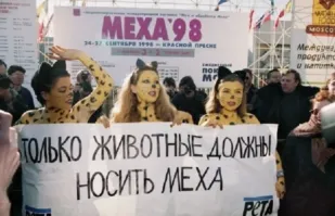 Квадробберы. Начало.