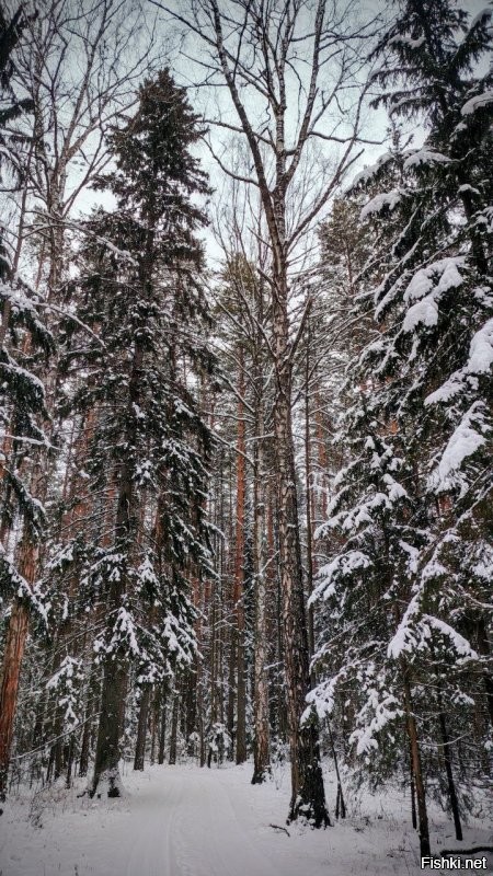 Красота