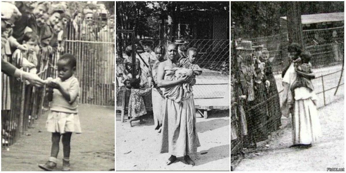 Это человеческий зоопарк, африканчик. Человеческий..