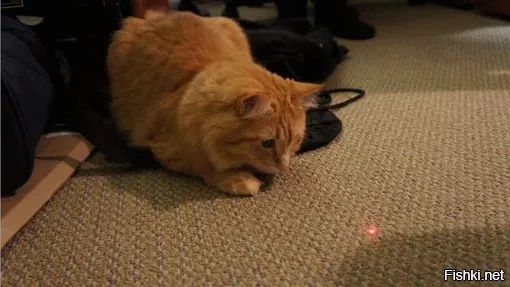 Лучше поздно, чем никогда