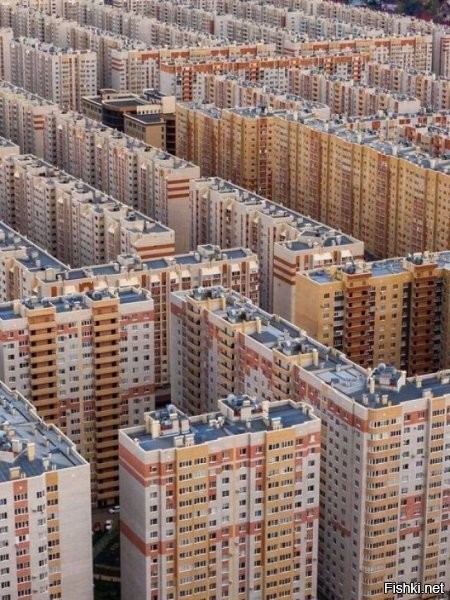 Господи, как же они там живут????