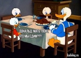 Смешные картинки