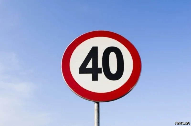 Солянка от 14.12.2025