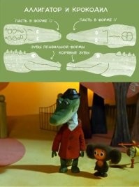 Не, Гена был аллигатором, который работал крокодилом.