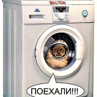 Кот провёл более 10 минут в работающей стиральной машине