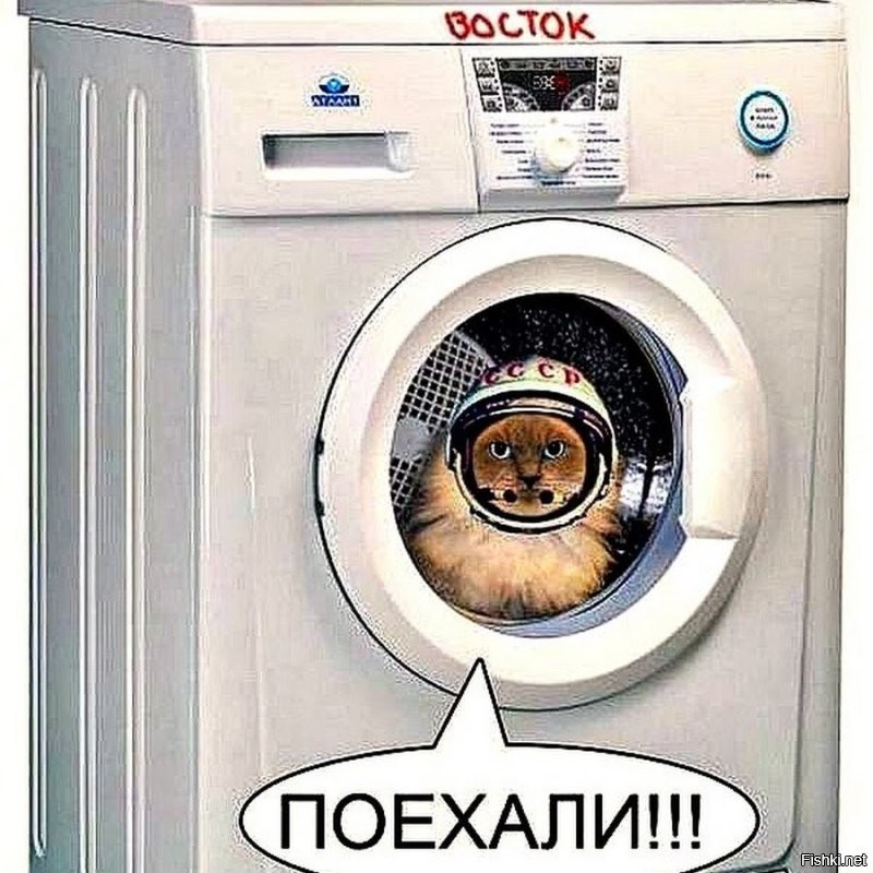 Кот провёл более 10 минут в работающей стиральной машине
