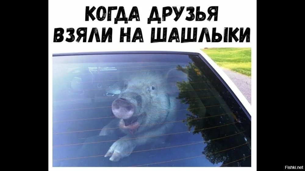 Смешные картинки