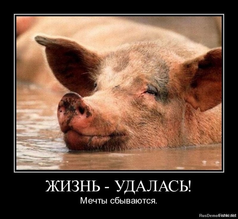 Место хохла в жизни.