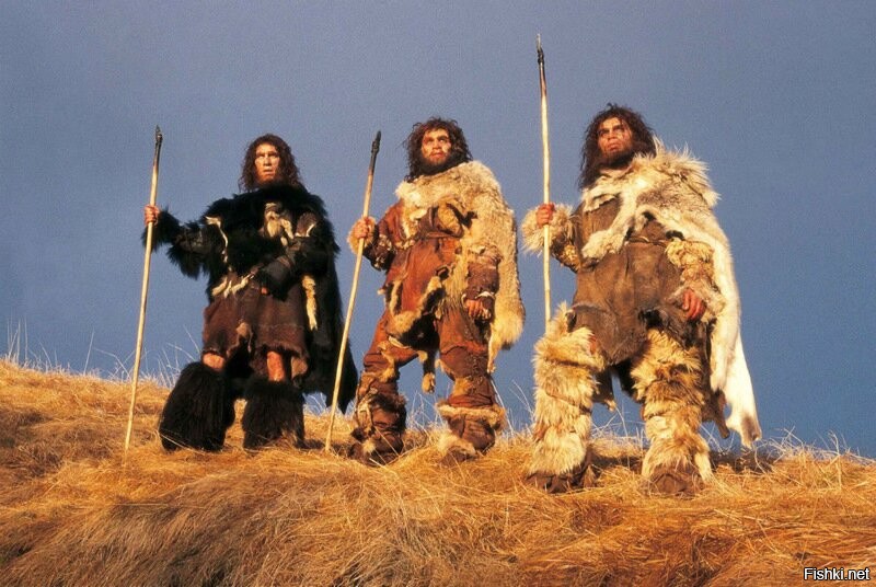 Смешные картинки