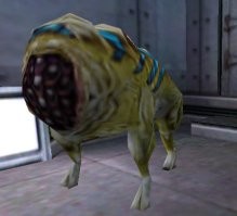 Единственная ассоциация с этими собаками.