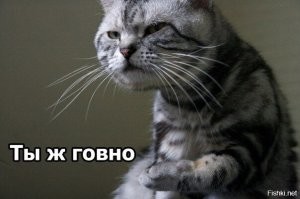 Ну всё! Звездец тебе блохастый!
