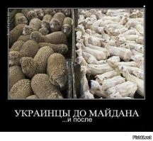 Лишь о политике , но и не только о ней