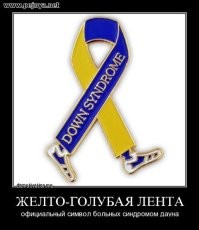 Лишь о политике , но и не только о ней