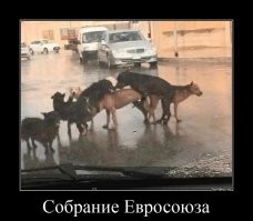 Лишь о политике , но и не только о ней