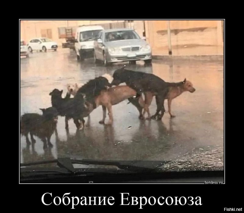 Лишь о политике , но и не только о ней