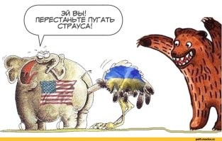 Лишь о политике , но и не только о ней