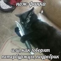 Смешные картинки