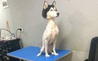 Знаем, знаем.
