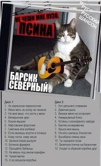 Смешные картинки